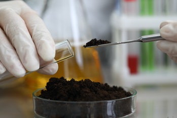 Female chemist in white protective gloves hold test tube against chemistry lab background closeup. E...