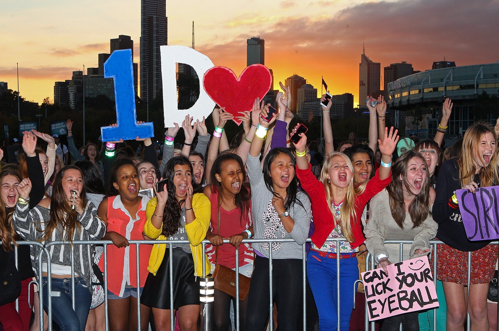 Fans yell as they wait for the gates to open outside a One Direction. They are holding signs and there is an orange...