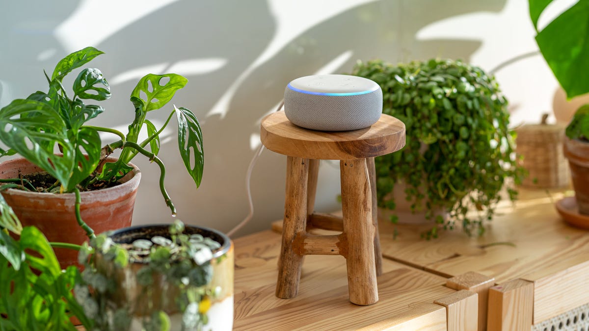 An Amazon Echo on a tiny stool